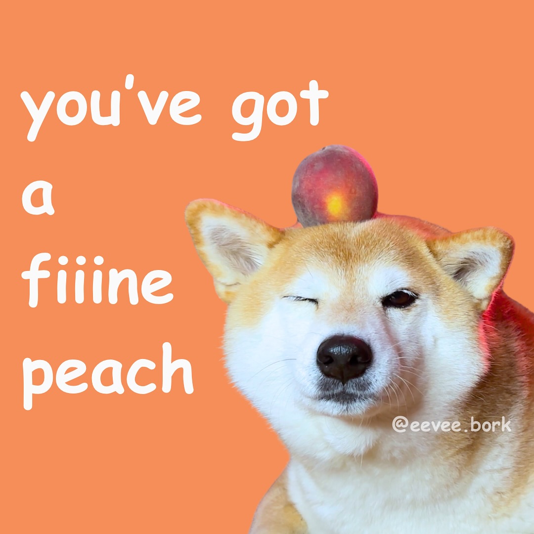 Eevee Meme